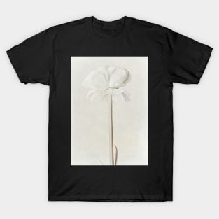 Ranunculus Art 1 T-Shirt